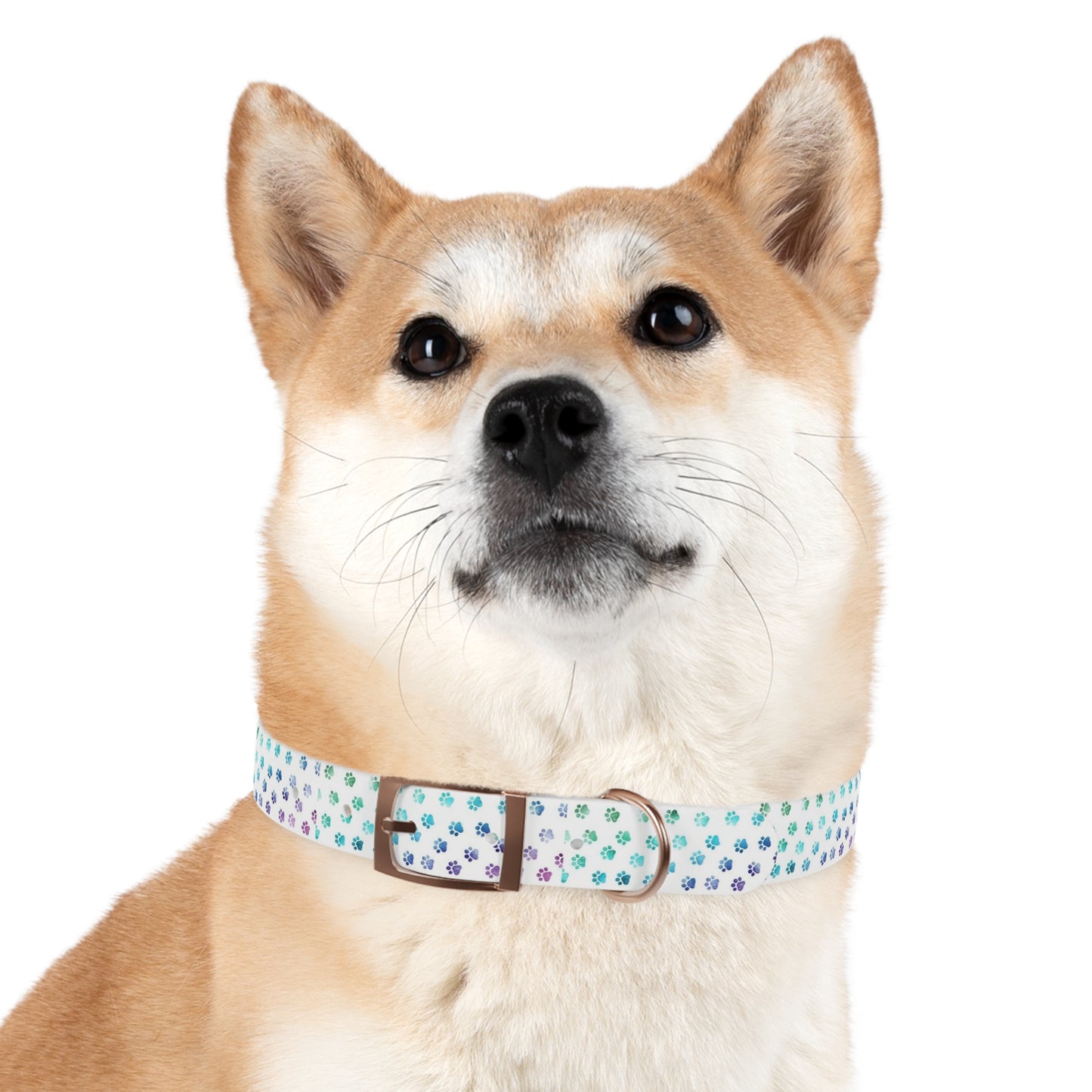 Custom Waterproof Dog Collar – Personalized, Odor-Proof & Hypoallergenic | Made-to-Order | Made in USA