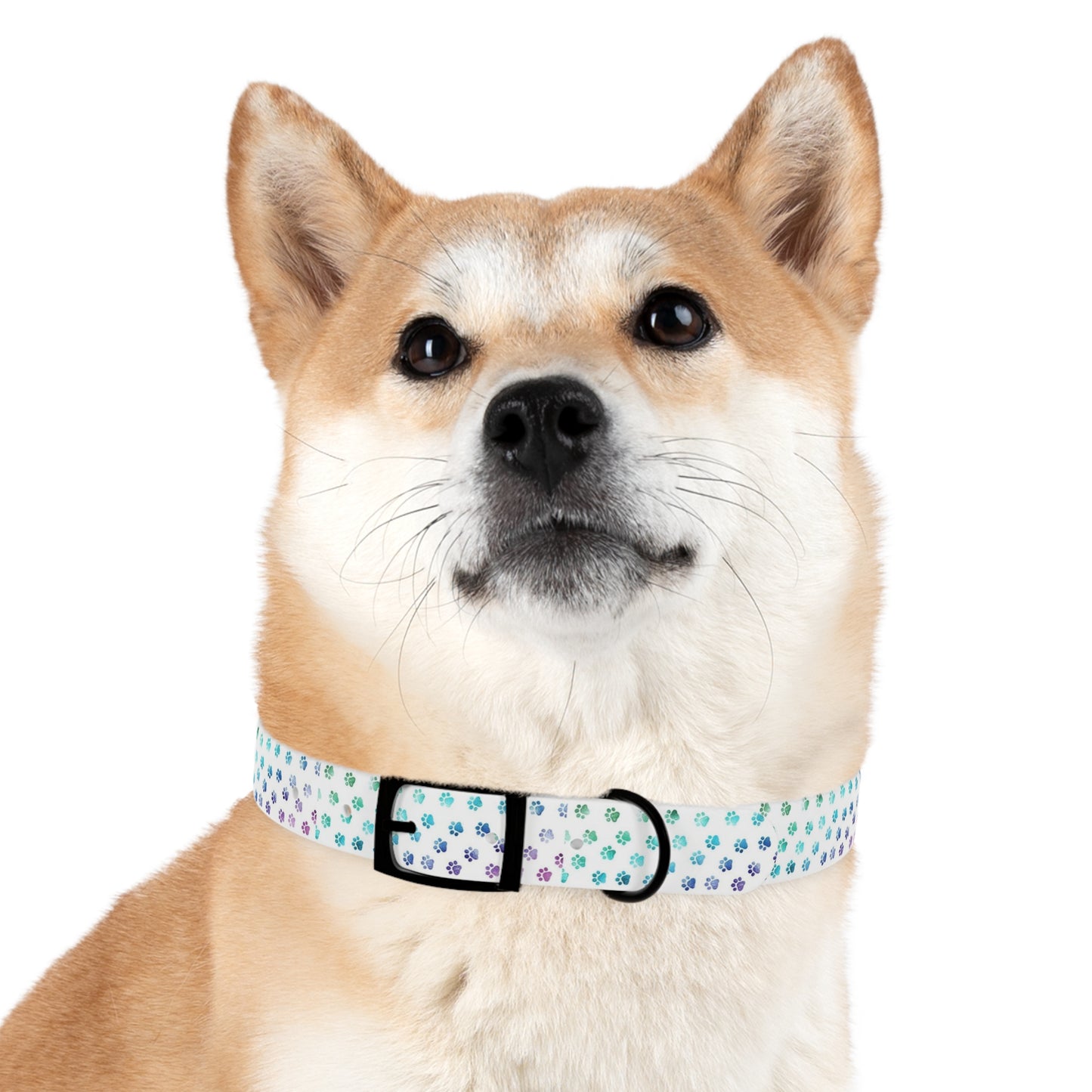 Custom Waterproof Dog Collar – Personalized, Odor-Proof & Hypoallergenic | Made-to-Order | Made in USA