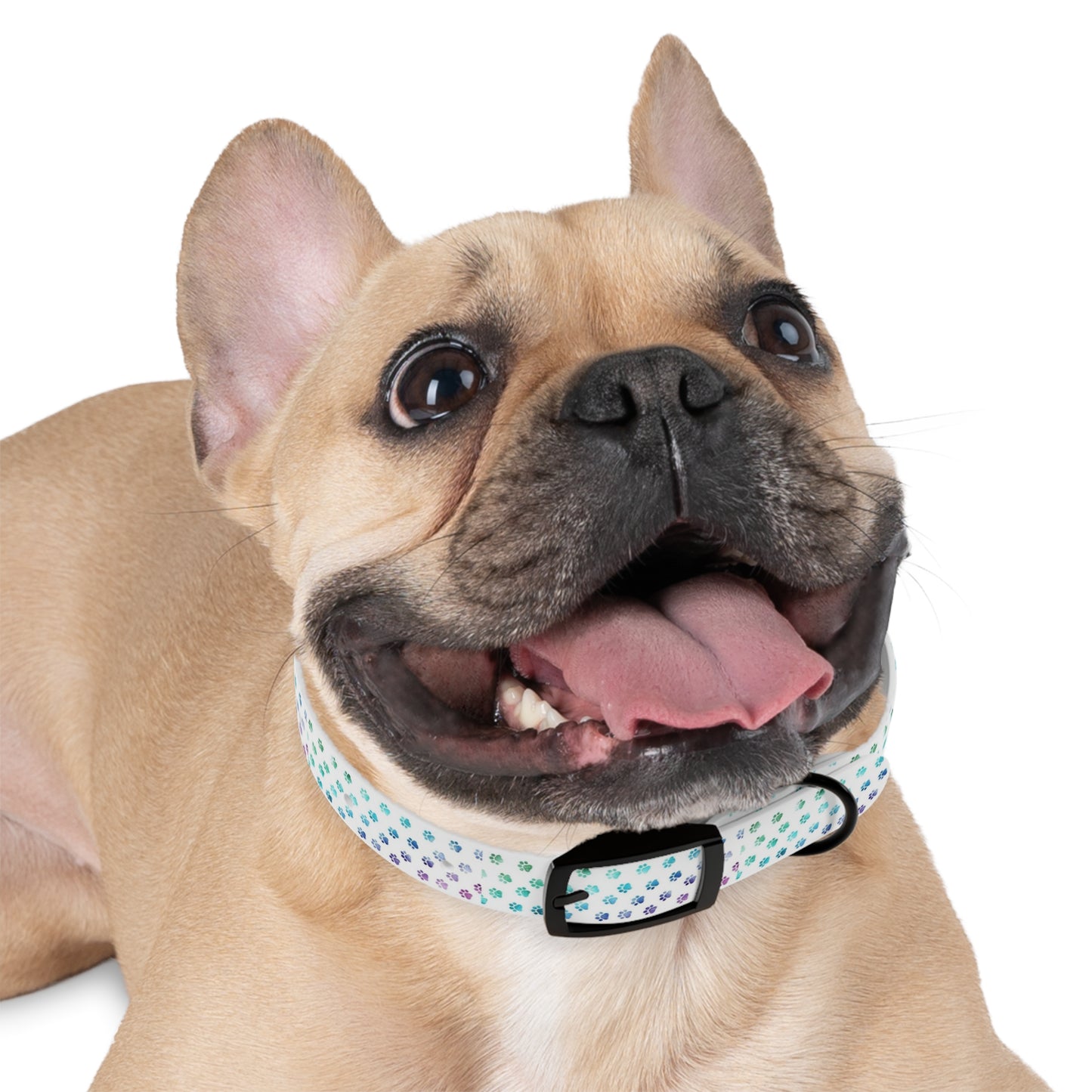 Custom Waterproof Dog Collar – Personalized, Odor-Proof & Hypoallergenic | Made-to-Order | Made in USA