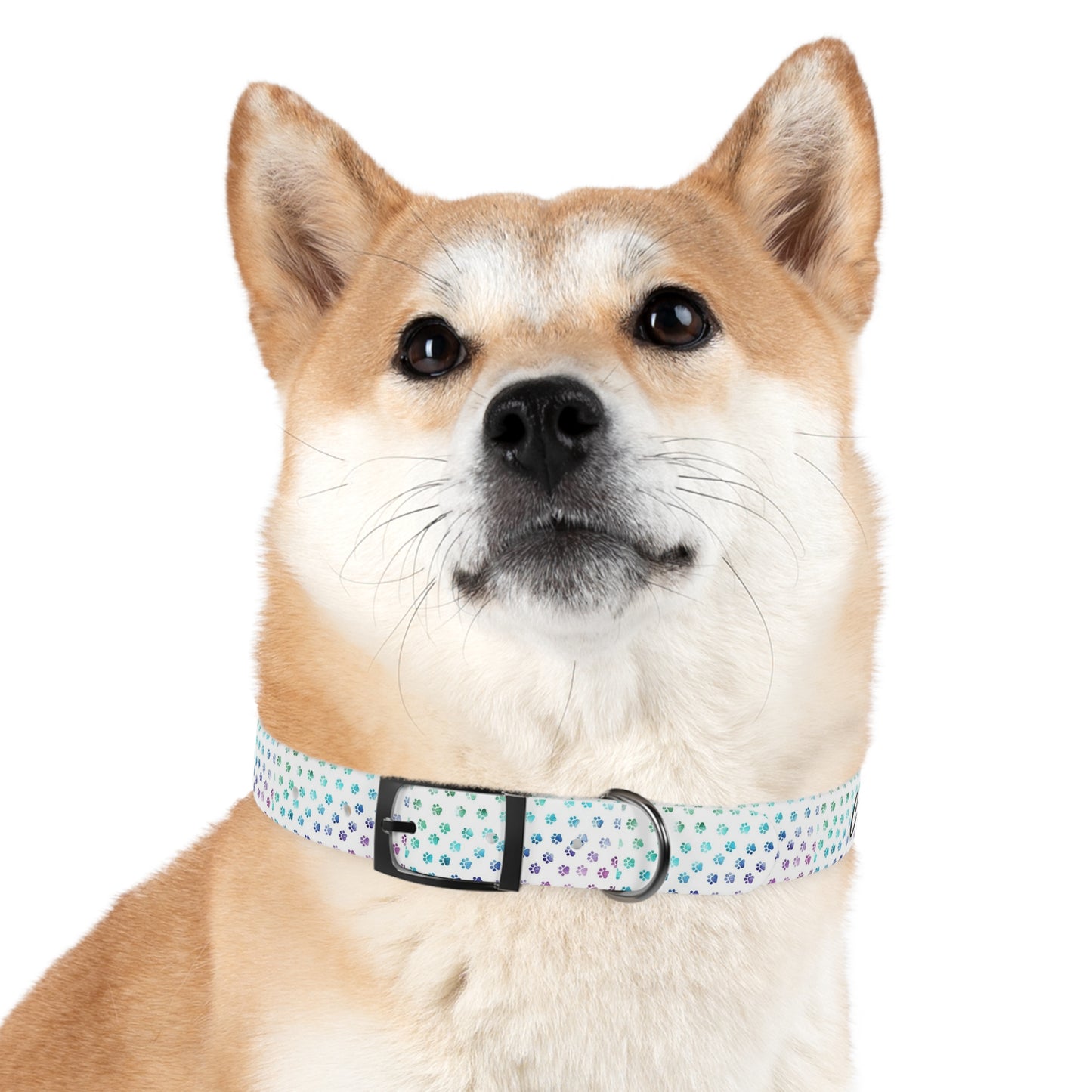 Custom Waterproof Dog Collar – Personalized, Odor-Proof & Hypoallergenic | Made-to-Order | Made in USA