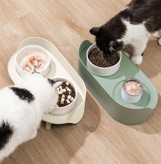 ceramic cat water bowl