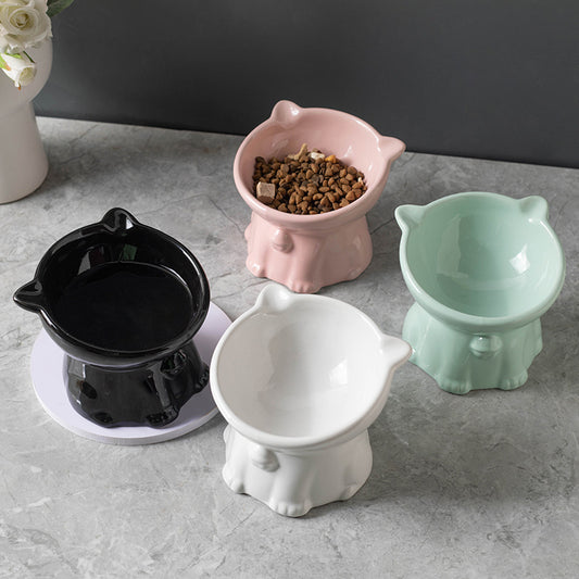 cat bowl drinking water