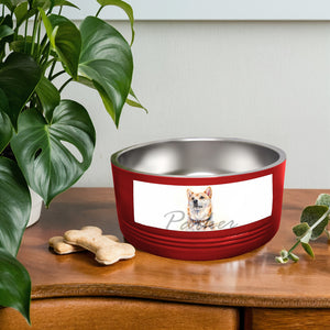 Custom stainless steel pet bowl with insulated design