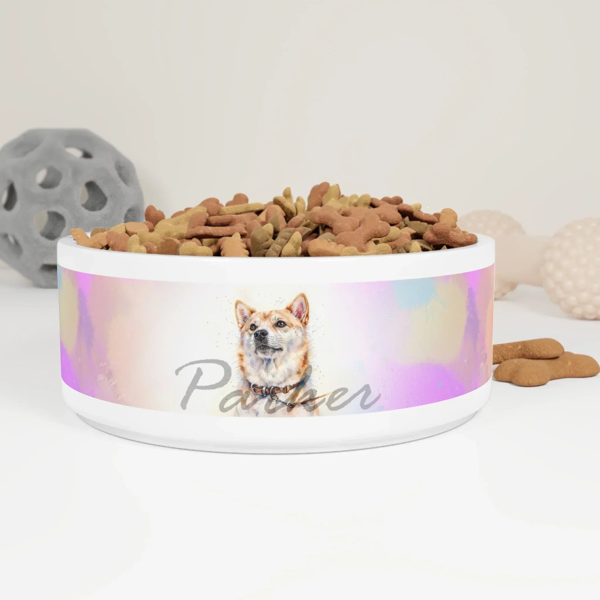 5 Must-Have Pet Accessories You Can Buy Online