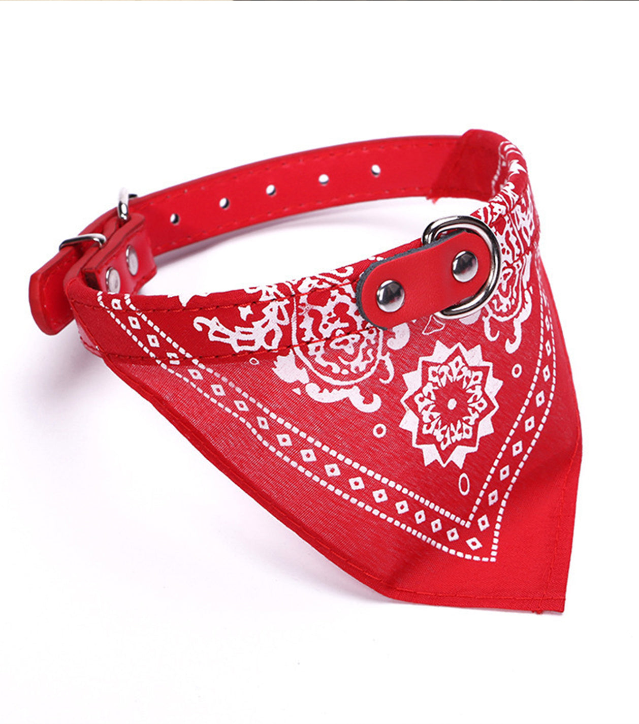 Custom Personalized pet Collar