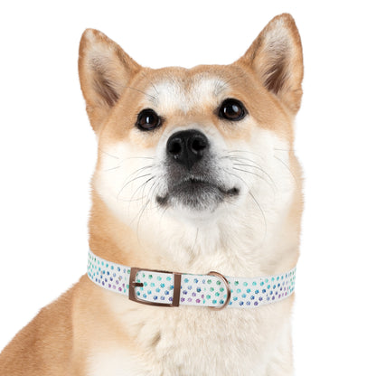 Custom Waterproof Dog Collar – Personalized, Odor-Proof & Hypoallergenic | Made-to-Order | Made in USA