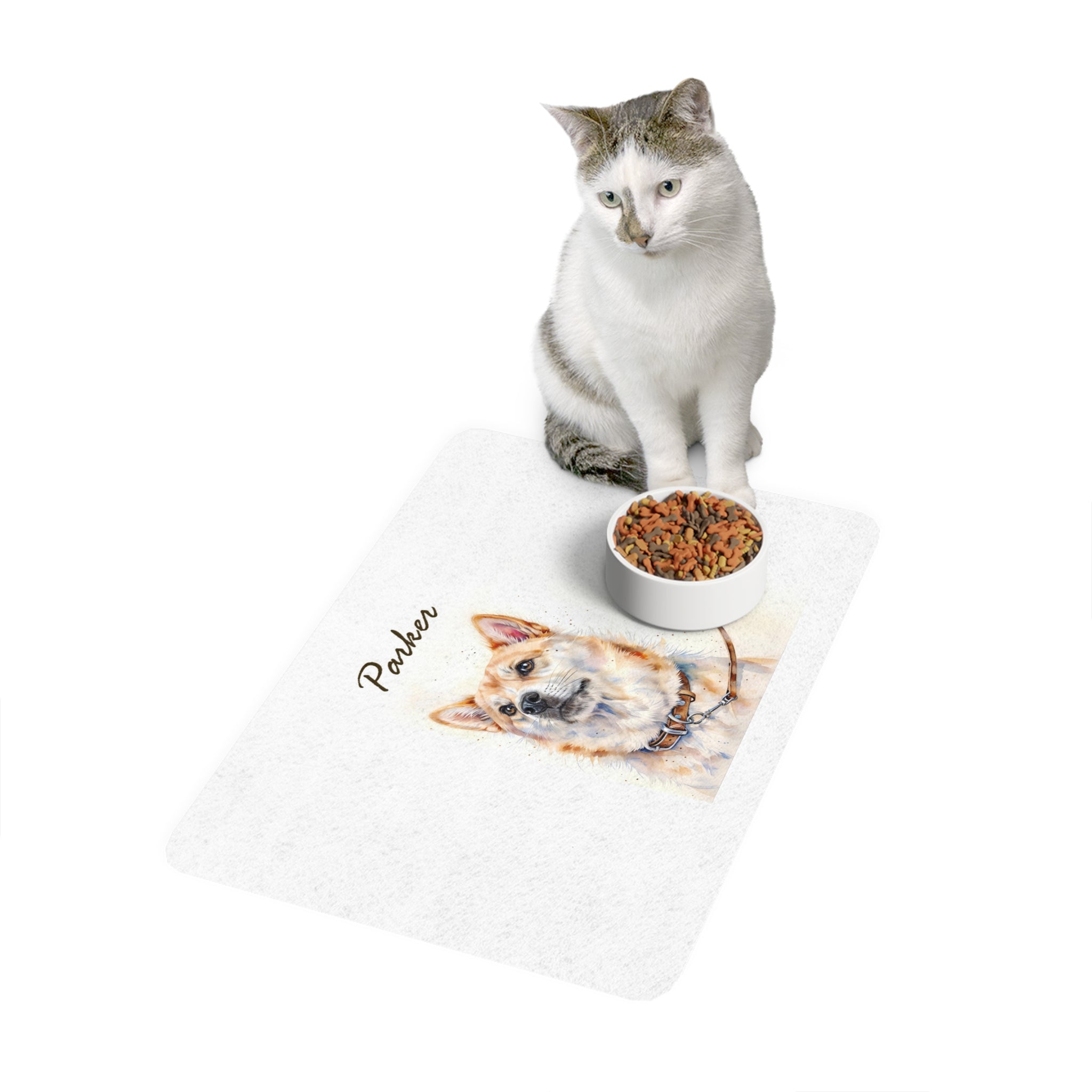 Cat food mat with anti-slip backing and easy-clean surface