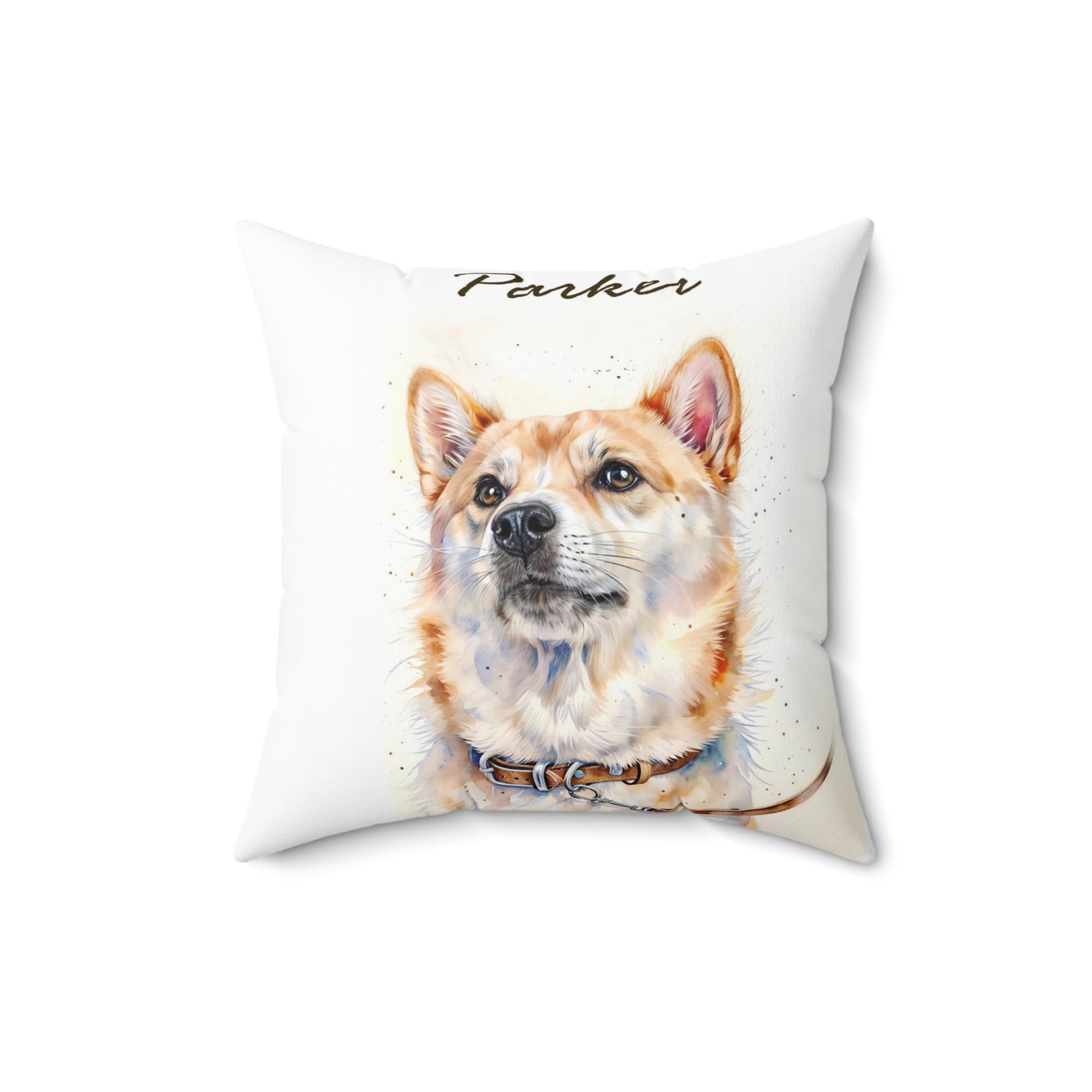 best pet pillow cover
