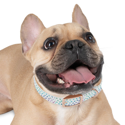 Custom Waterproof Dog Collar – Personalized, Odor-Proof & Hypoallergenic | Made-to-Order | Made in USA