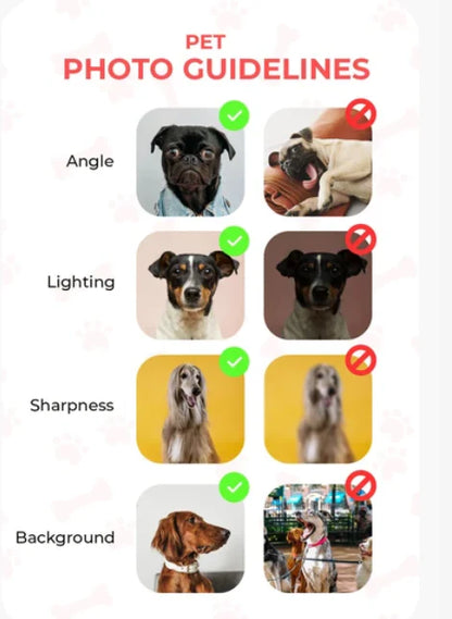 Personalized Ceramic Pet Bowl – Custom Printed, Dishwasher & Microwave Safe