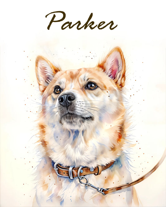 pet accessories online shop